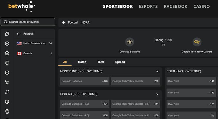 A snapshot of BetWhale, one of our top rated Montana sports betting sites.
